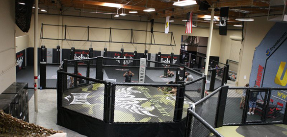 Xtreme Couture MMA