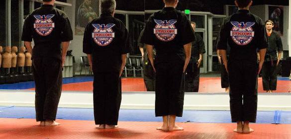 Pro-Am Martial Arts Academy