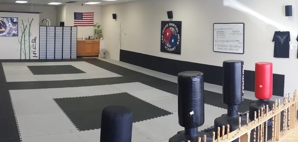 Sidney Silva BJJ and MMA Academy