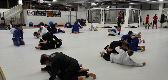 Macaco Branco Bjj center