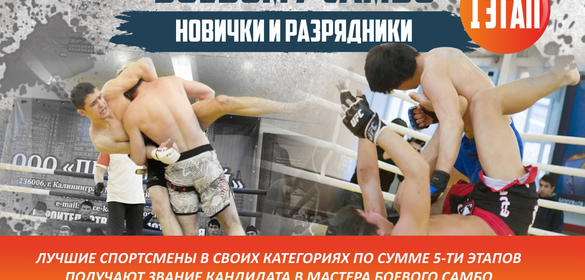 Кубок Северо-запада по профессиональному боевому самбо