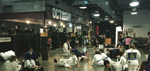 Octagon MMA center