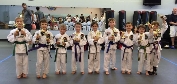 Stapleton Karate center