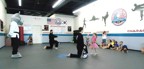 PRO Martial arts kids center