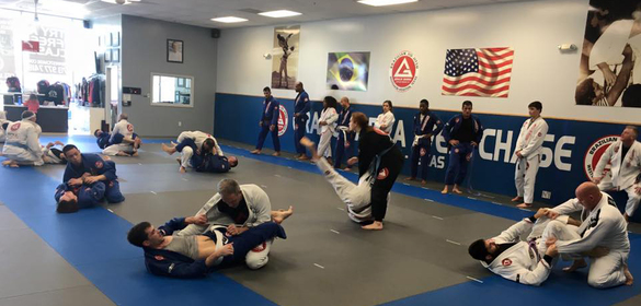 Gracie Barra Westchase